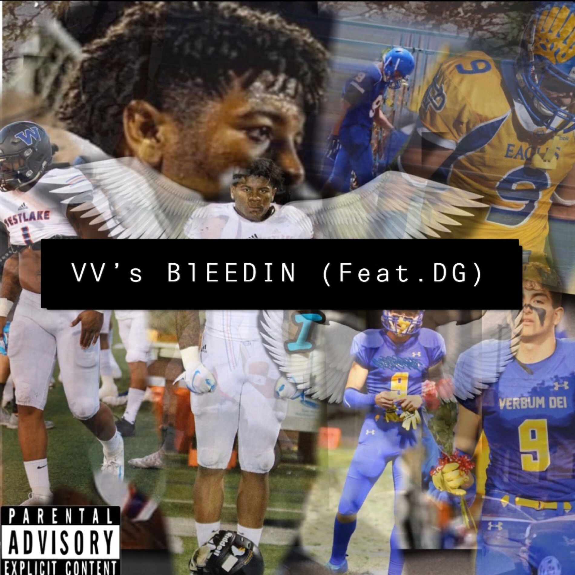 Album cover of VV's Bleedin' (feat. LMB DG)