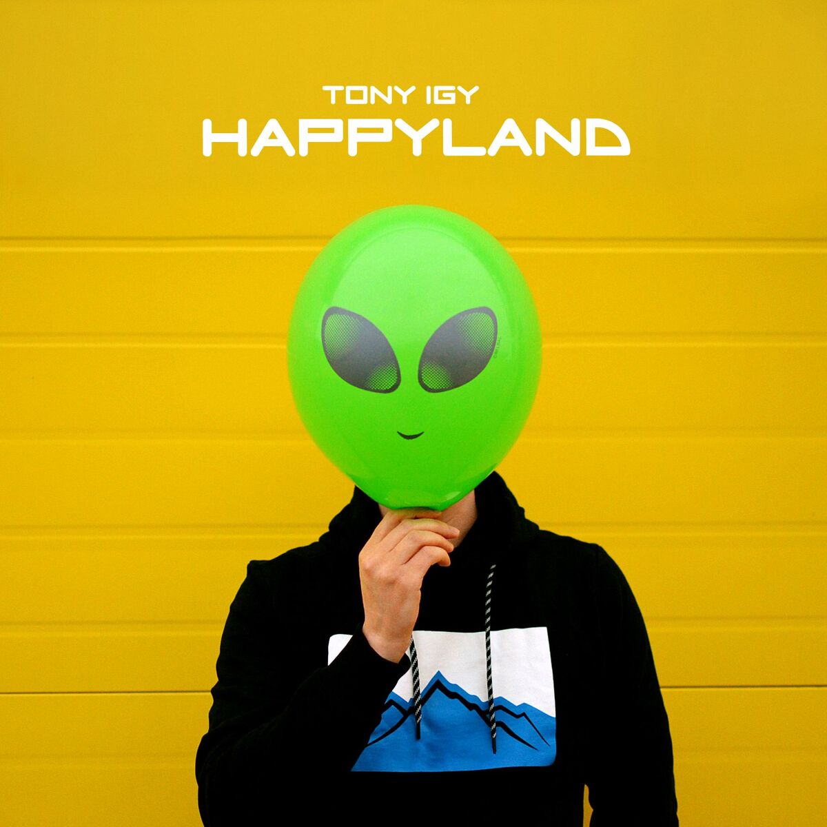 Album cover of Happy Land