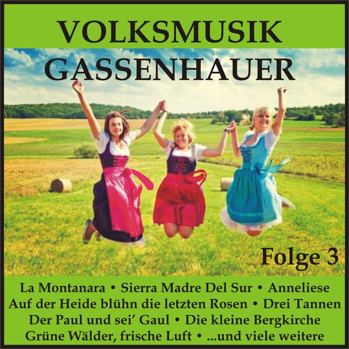 Album cover of Volksmusik Gassenhauer, Folge 3