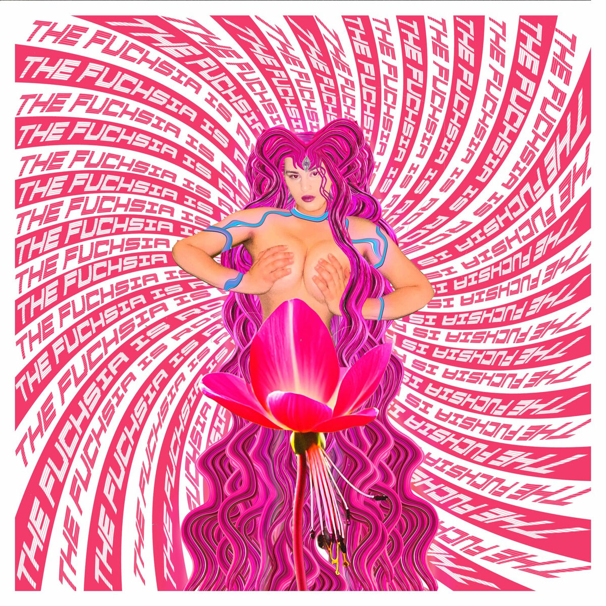 Album cover of The Fuchsia Is Rose
