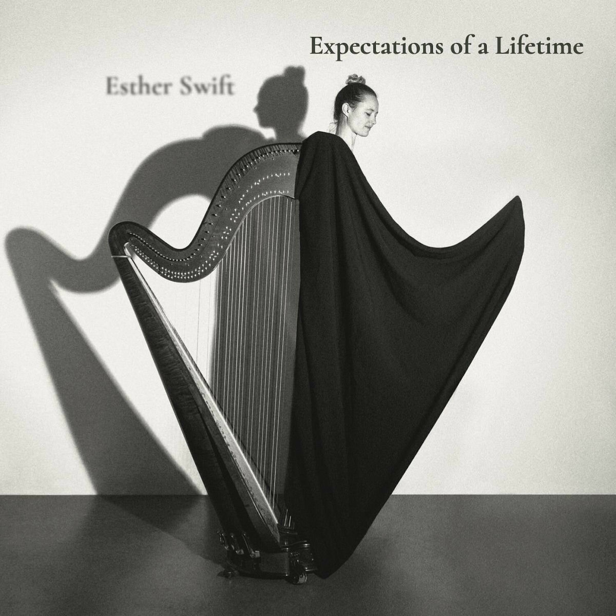 Album cover of Expectations of a Lifetime