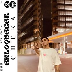 Cover of Enloquecer