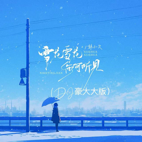 雪花雪花你可听见(dj豪大大版)