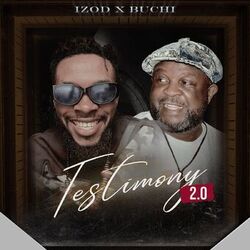 Cover of Testimony 2.0