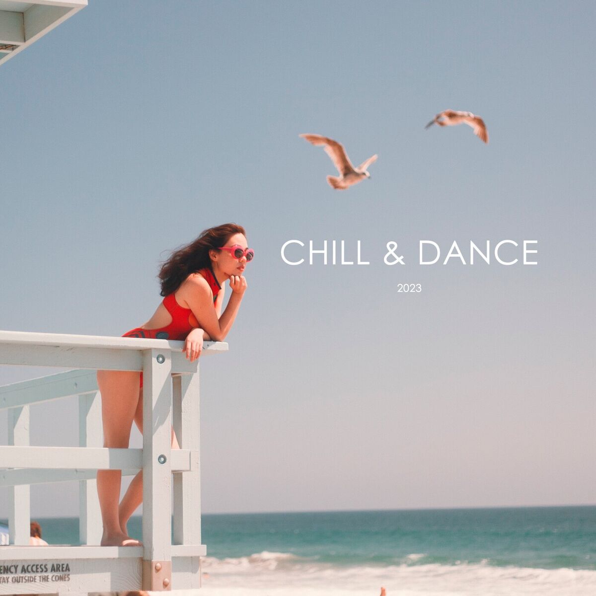 Album cover of Chill & Dance Hits 2023