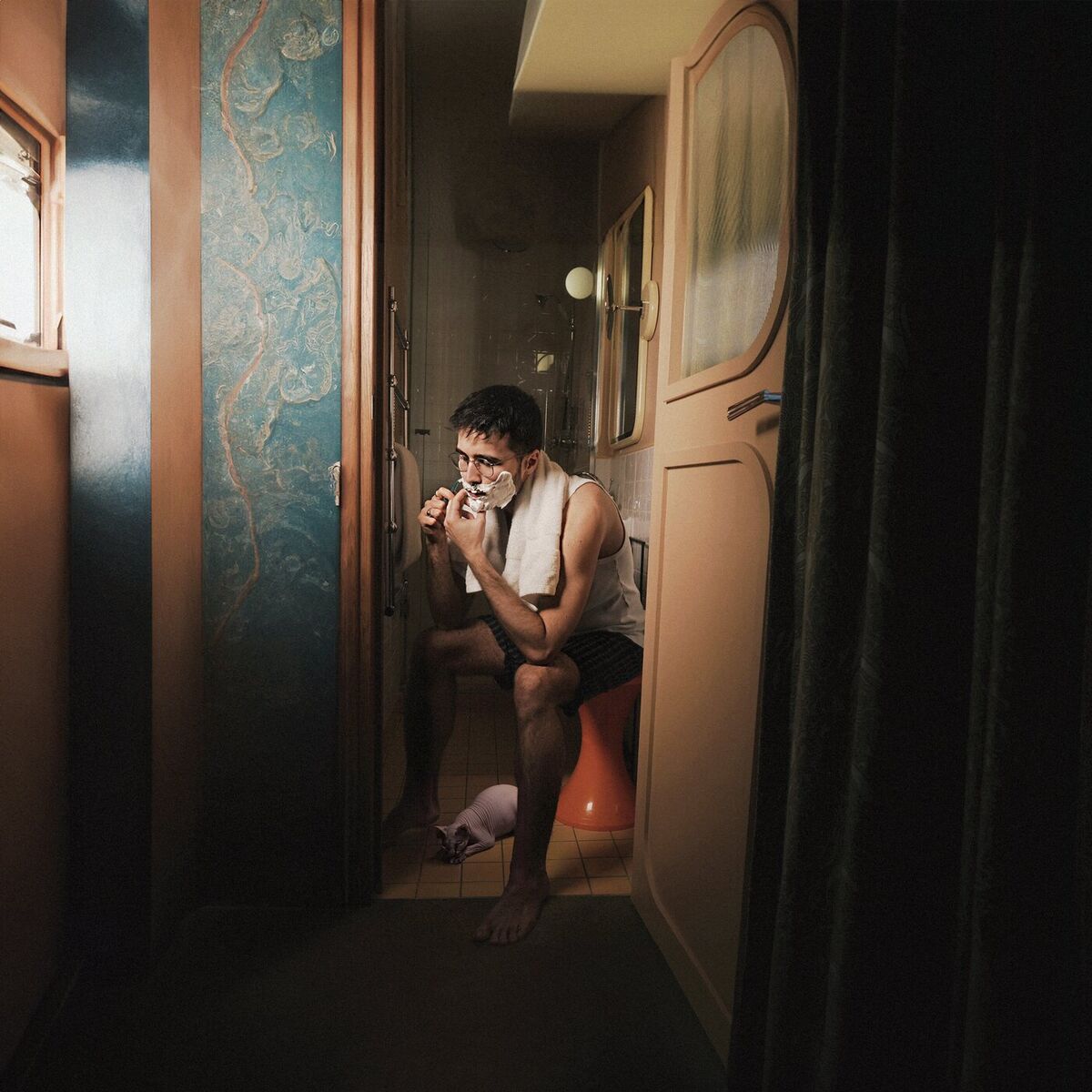 Album cover of Pas normal, pas bizarre