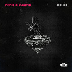 music cover