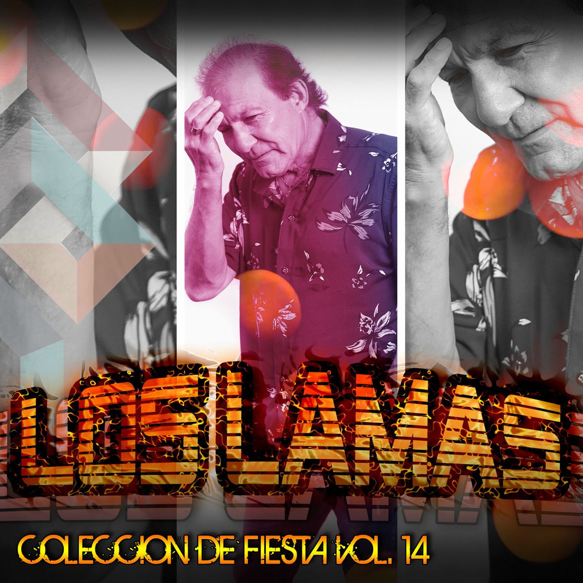 Album cover of Colección de Fiesta (Vol. 14)
