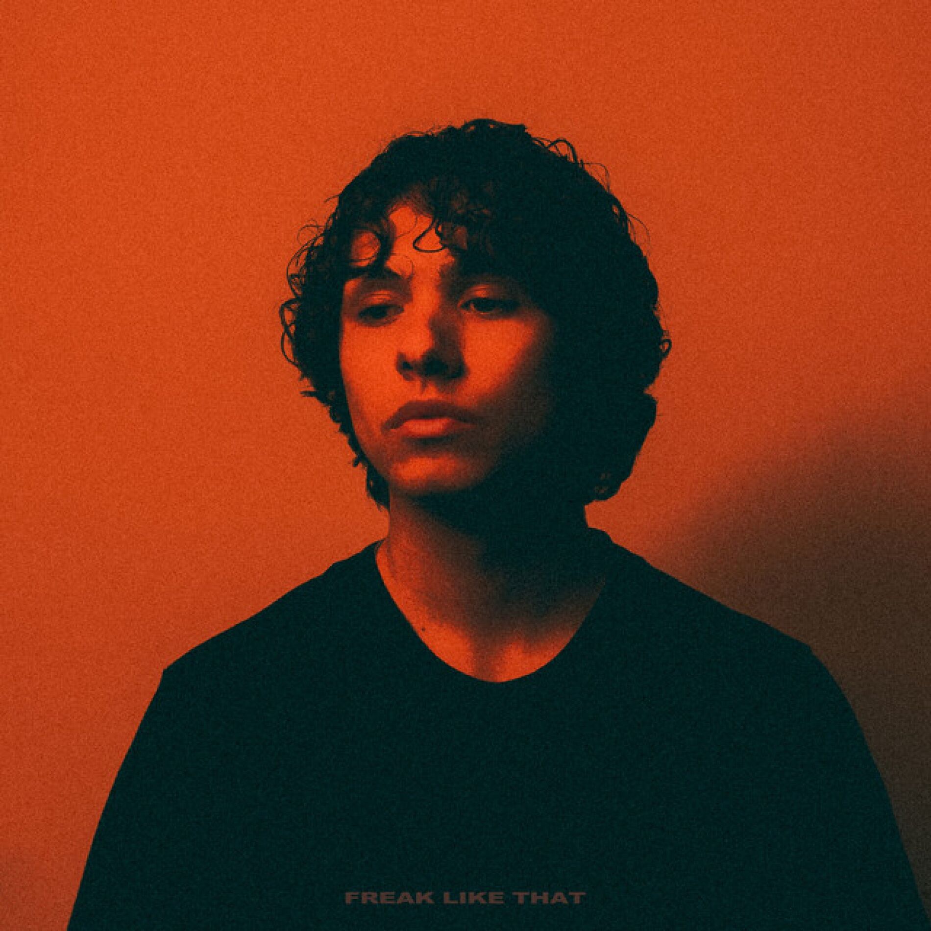 Album cover of Freak Like That