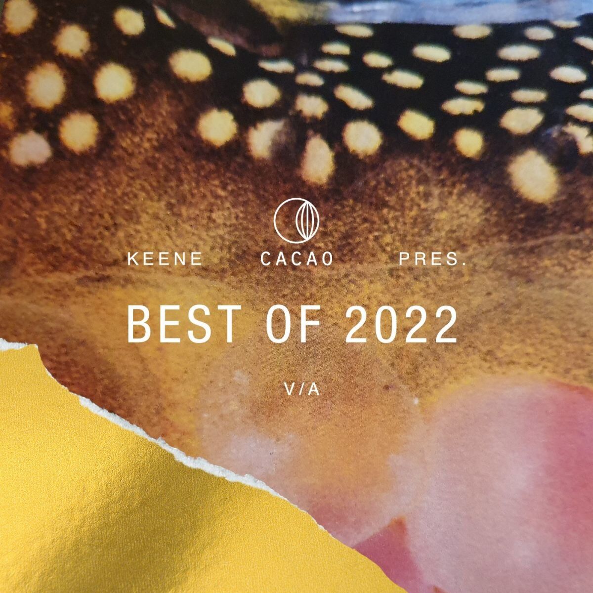 Album cover of KEENE pres. Best Of Cacao 2022