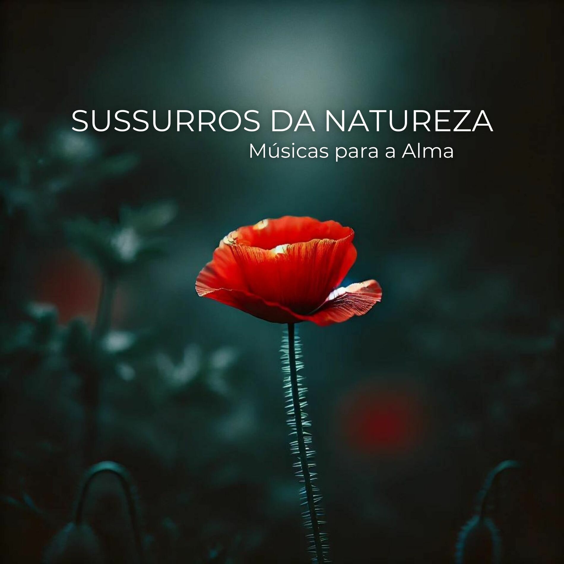 Album cover of Sussurros da Natureza: Viagem ao Eu, Músicas para a Alma