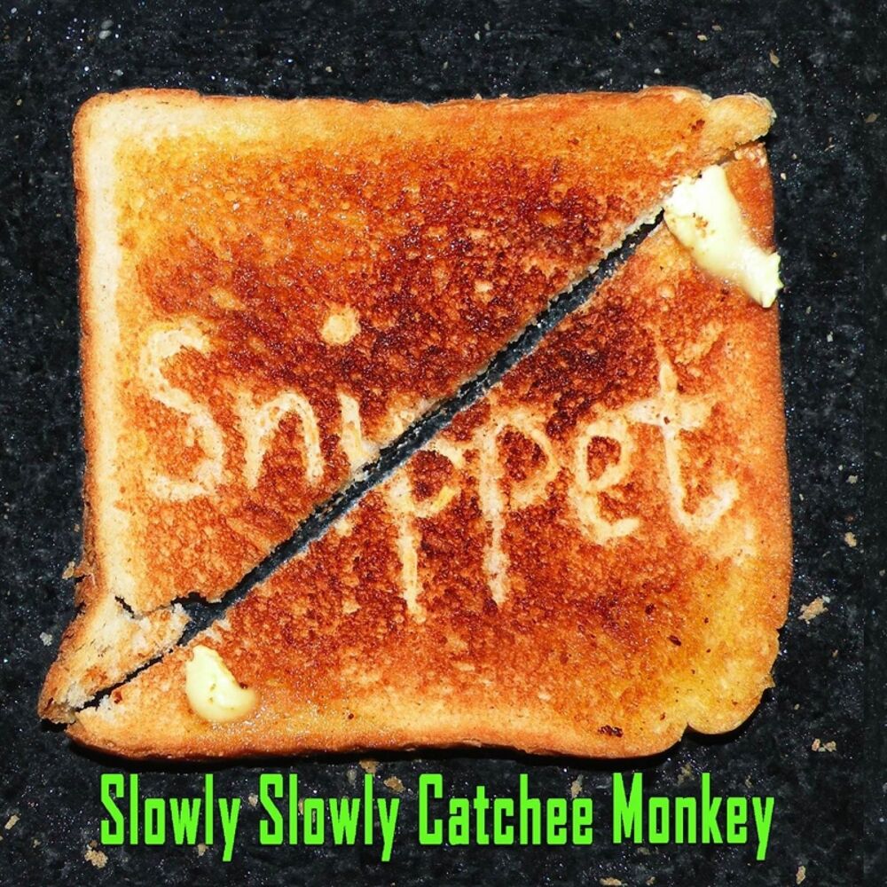 Picture of Slowly Slowly Catchee Monkey