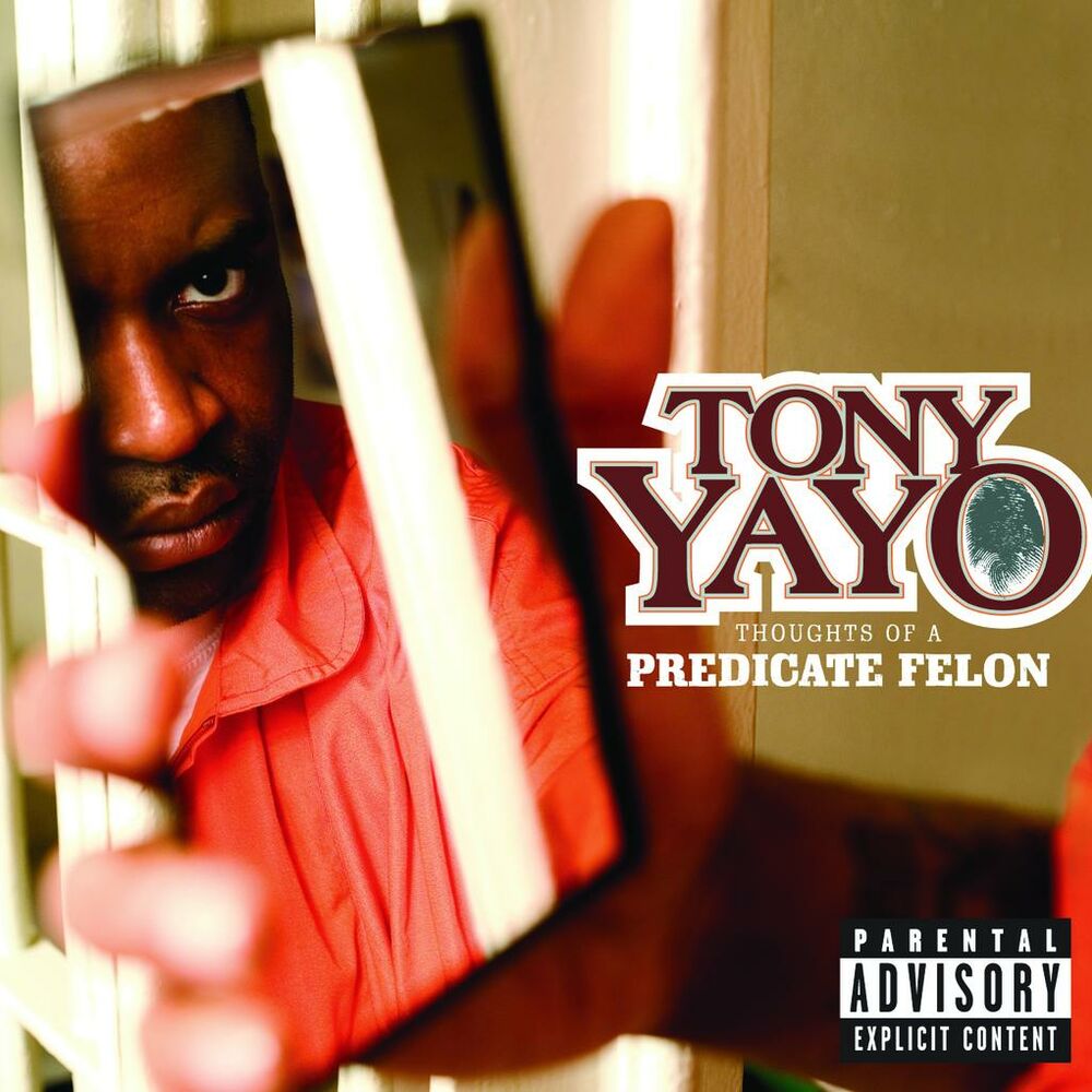 Picture of Thoughts Of A Predicate Felon