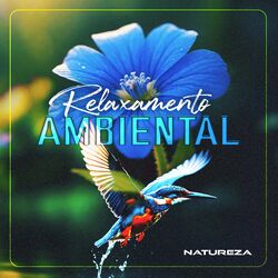 Cover of Relaxamento Ambiental