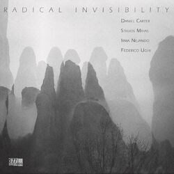 Cover of Radical Invisibility