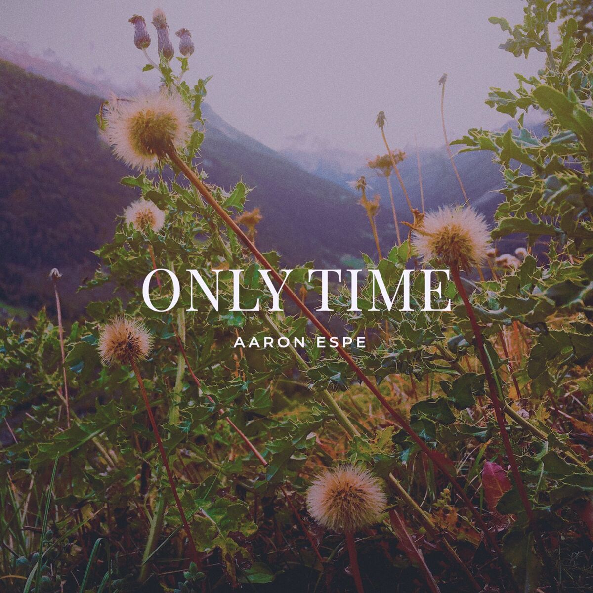 Album cover of Only Time