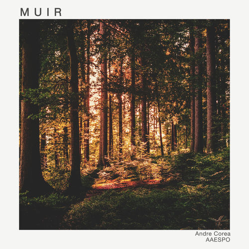 Muir artwork