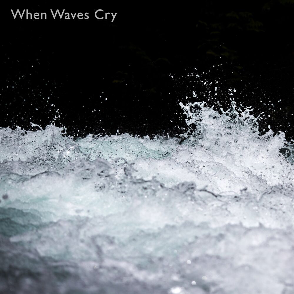 Picture of Waves Crying Vol. 1