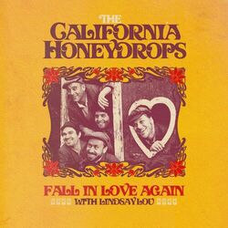 Cover of Fall in Love Again