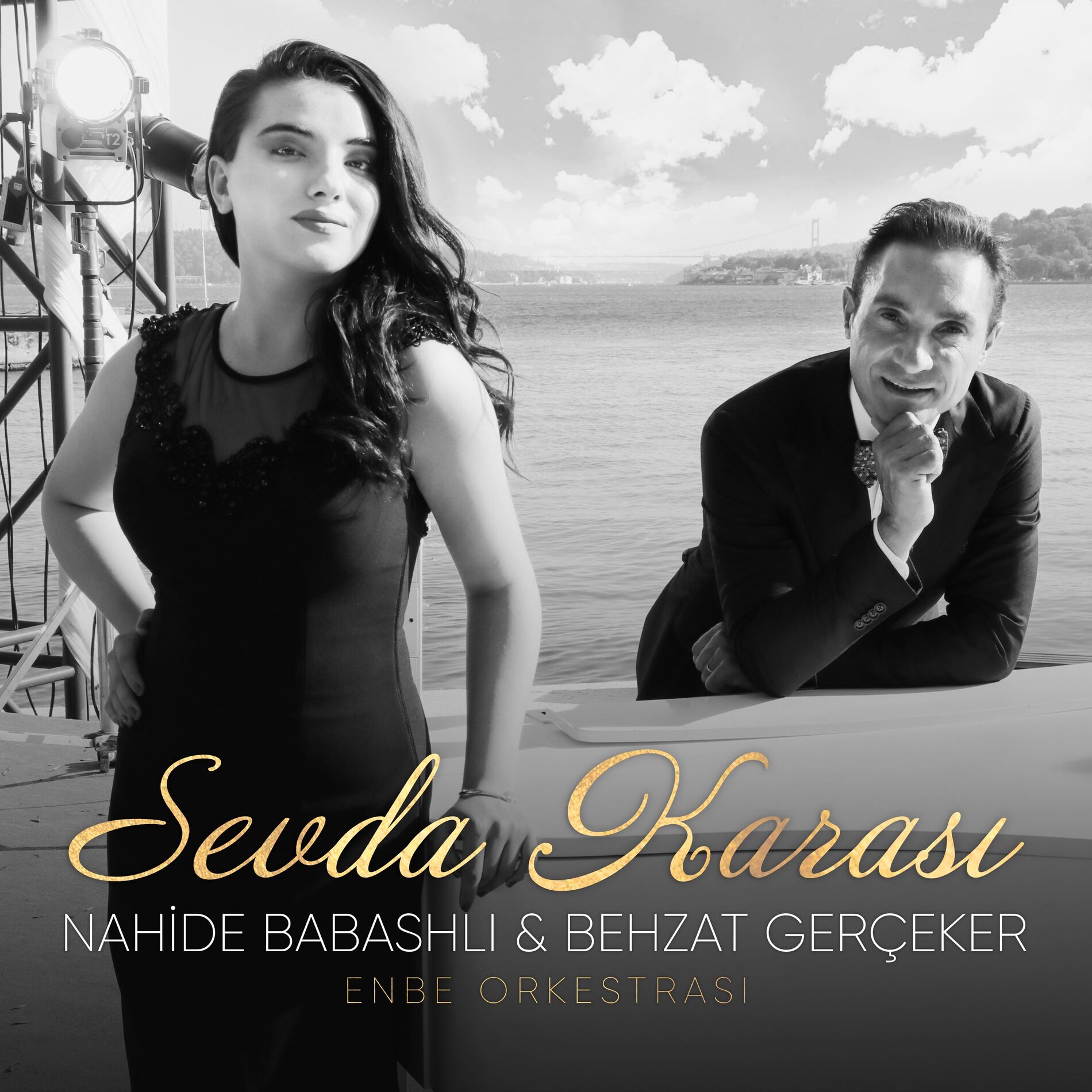 Album cover of Sevda Karası