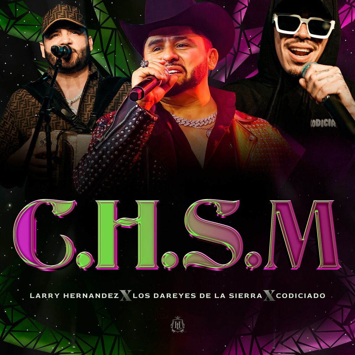 Album picture of C.H.S.M