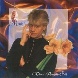 Cover of When Angels Fall