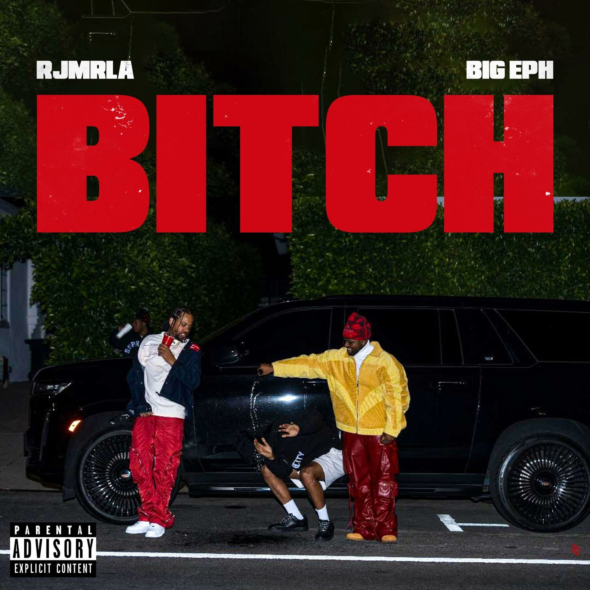Album cover of BITCH (feat. RJMrLA)