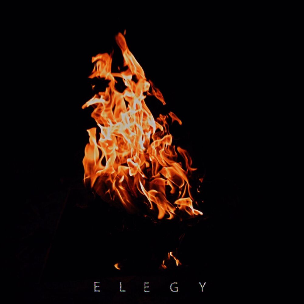 Picture of Elegy