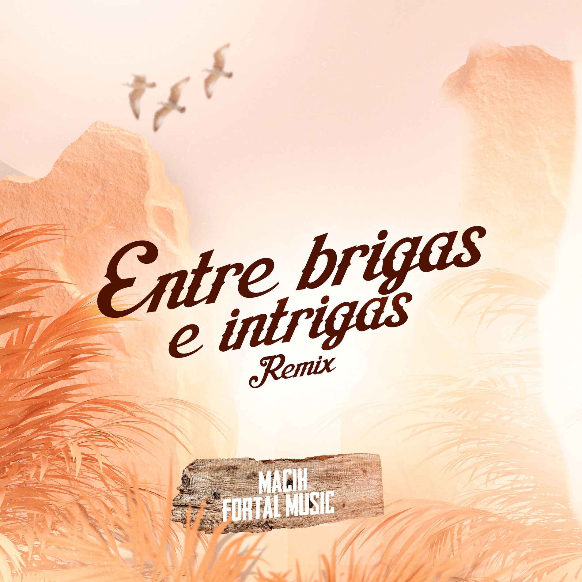 Album cover of Entre Brigas e Intrigas (Remix)