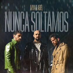 Cover of Nunca Soltamos