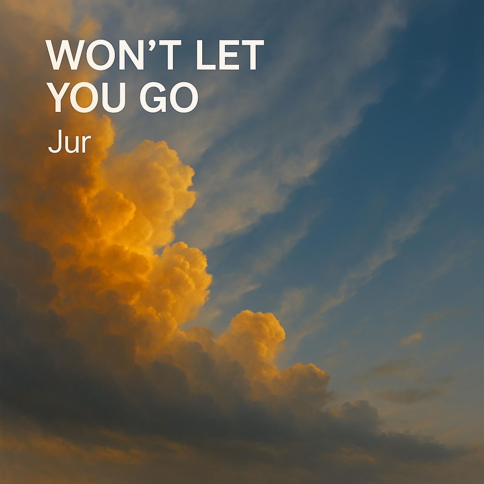 Album cover of Won't Let You Go