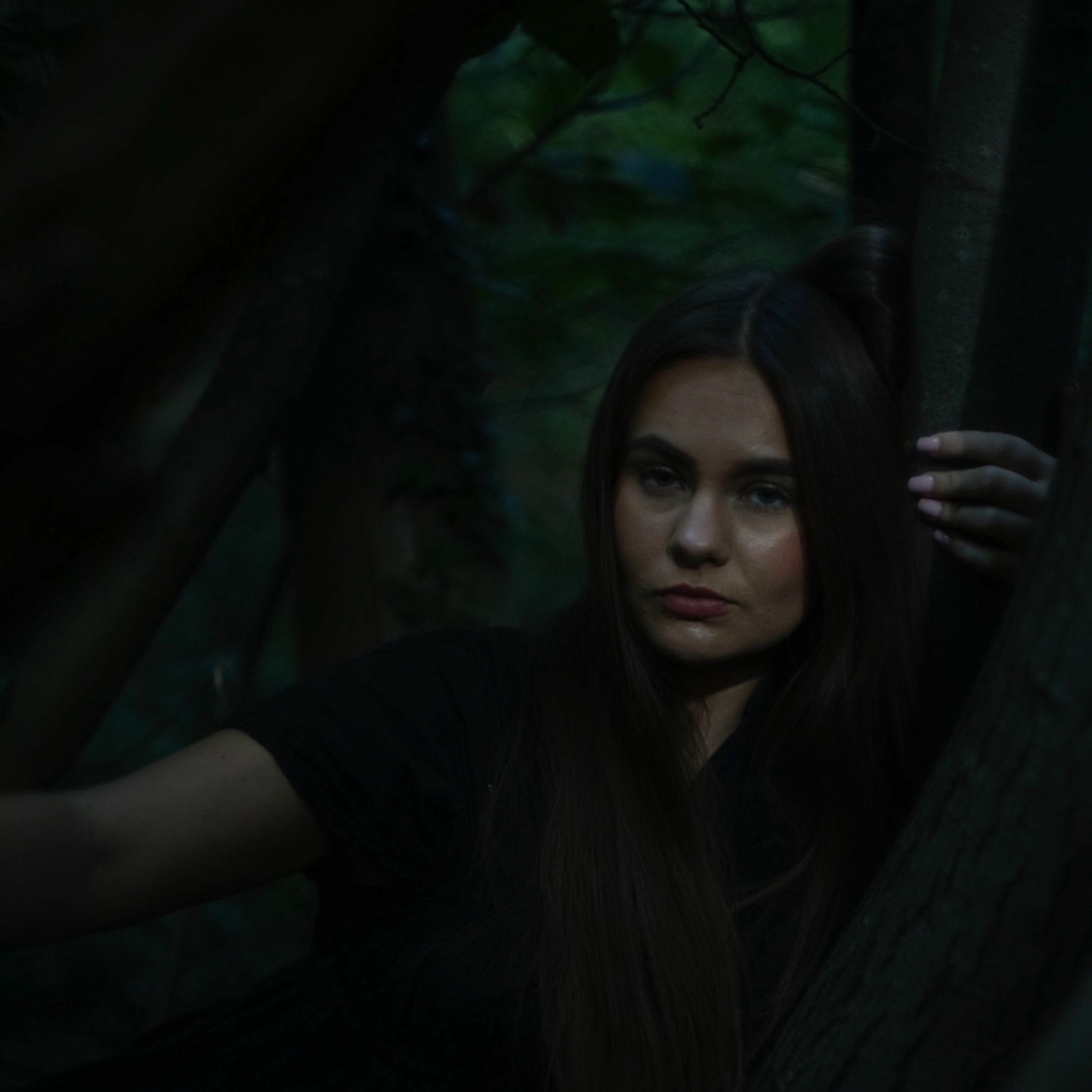 Album cover of Through the Window