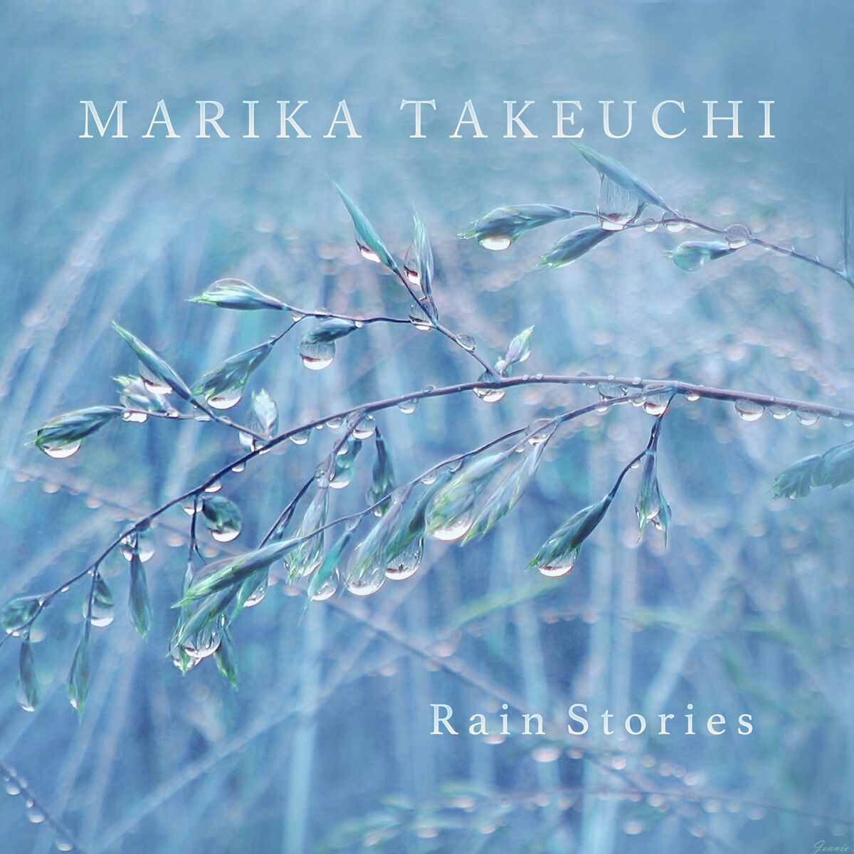 Album cover of Rain Stories