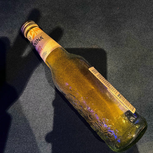 yelloasis – Le Buisson Ardent – Single