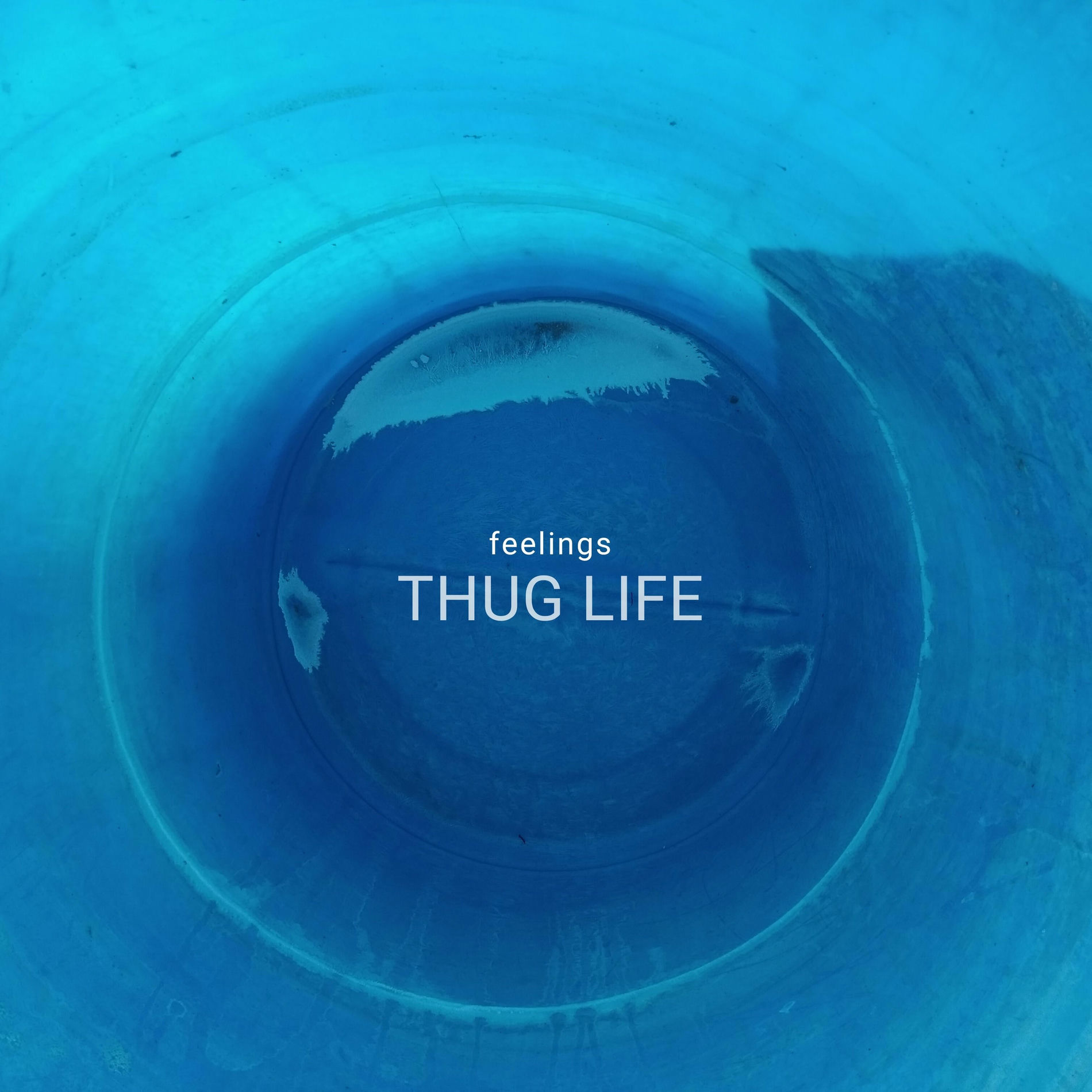 Album cover of Feelings