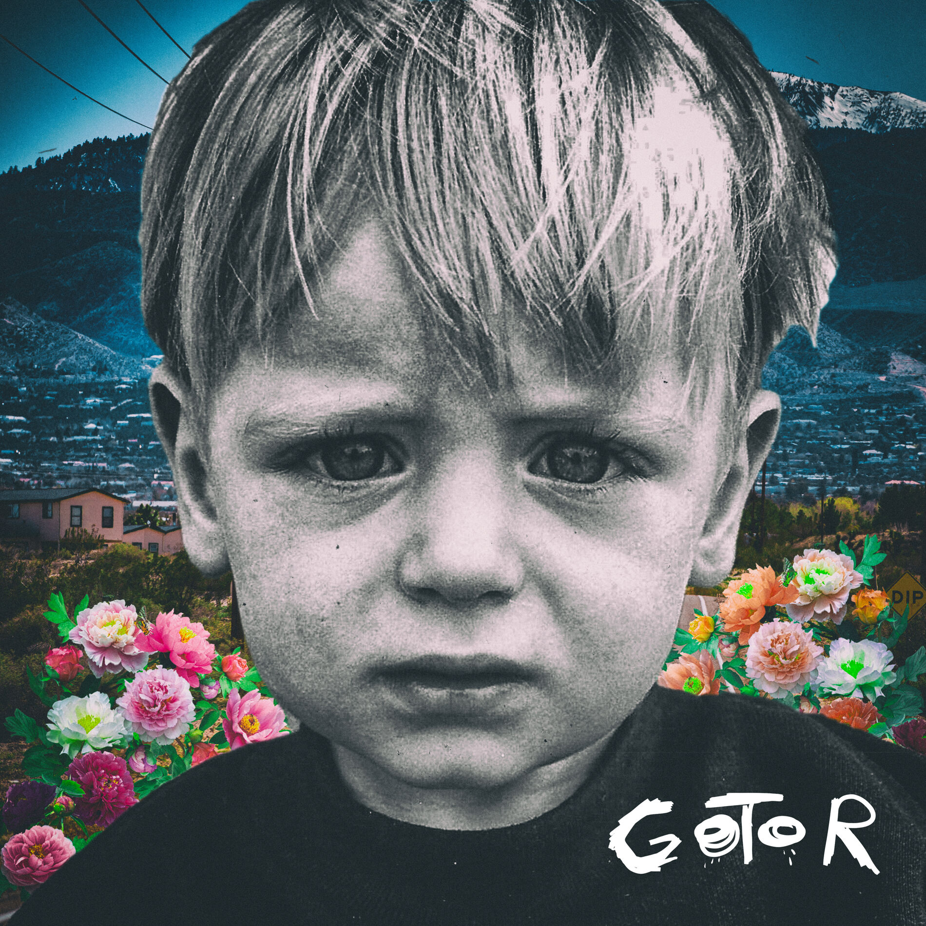 Album cover of Gotor