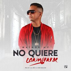 Cover of No Quiere Enamorarse