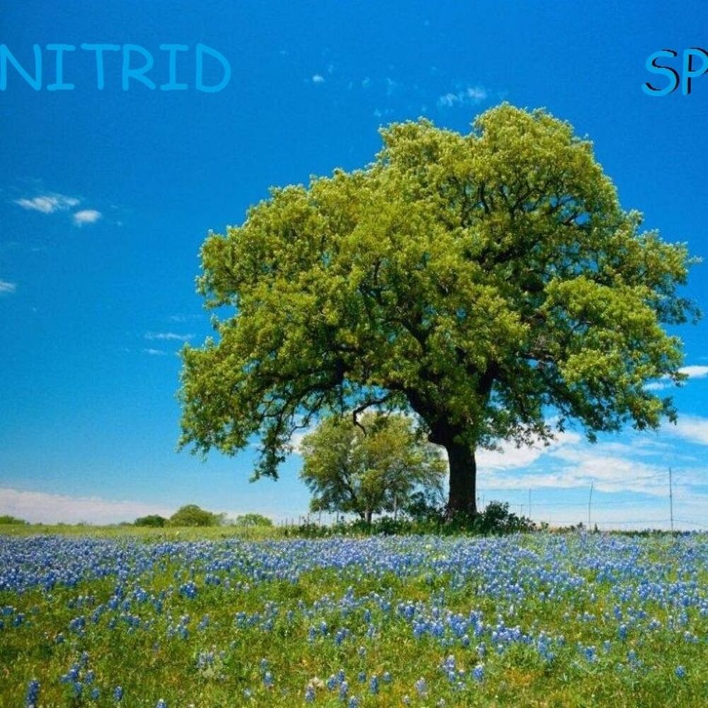 Picture of SP
