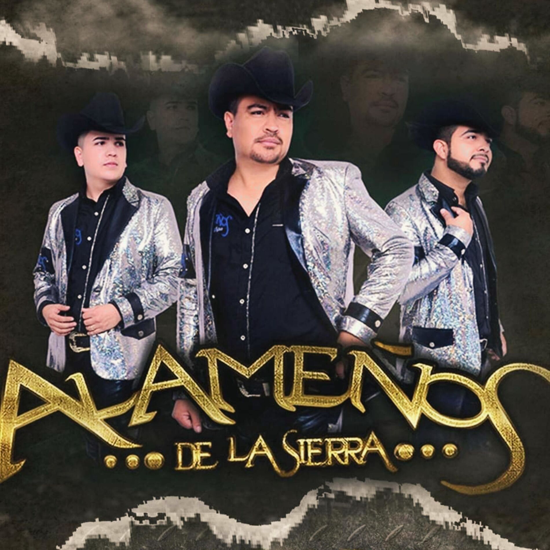 Album cover of En Vivo Con Banda