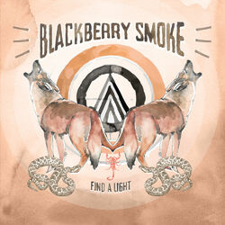 Cover of Find a Light