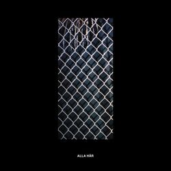 Cover of Alla här