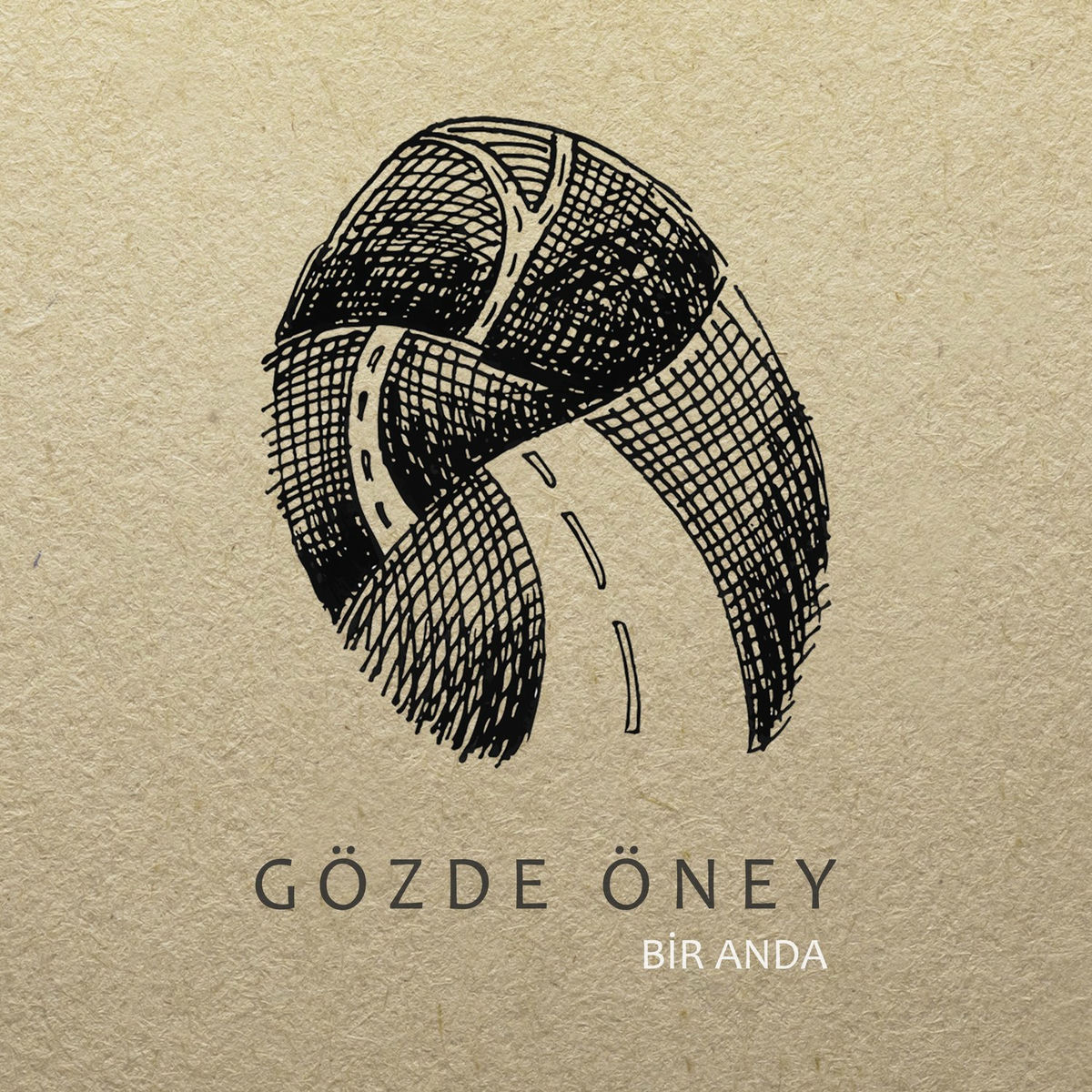 Album cover of Bir Anda