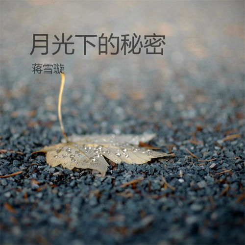 月光下的秘密