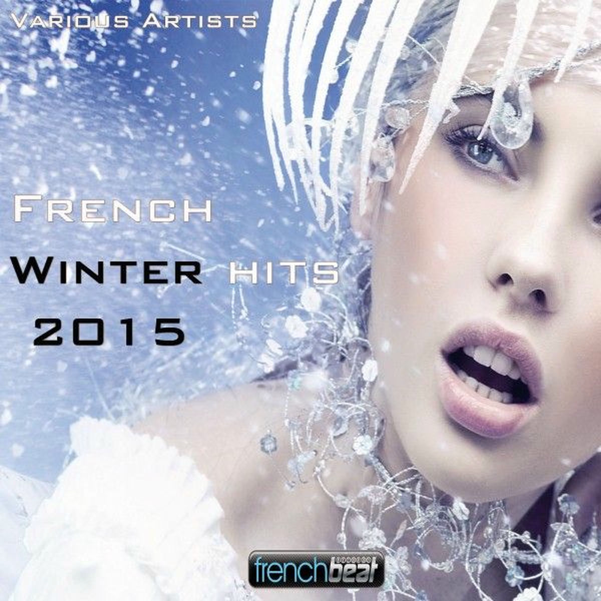 Album cover of French Winter Hits 2015