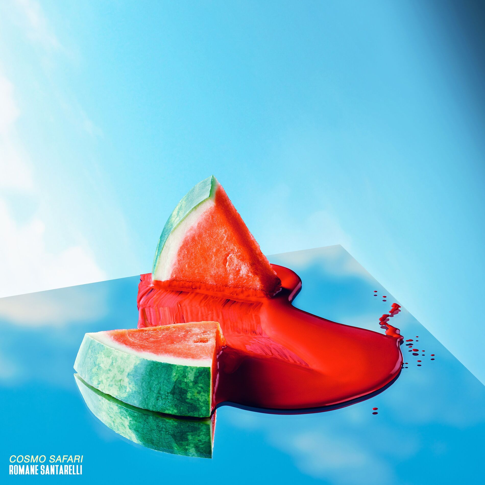 Album cover of Cosmo Safari