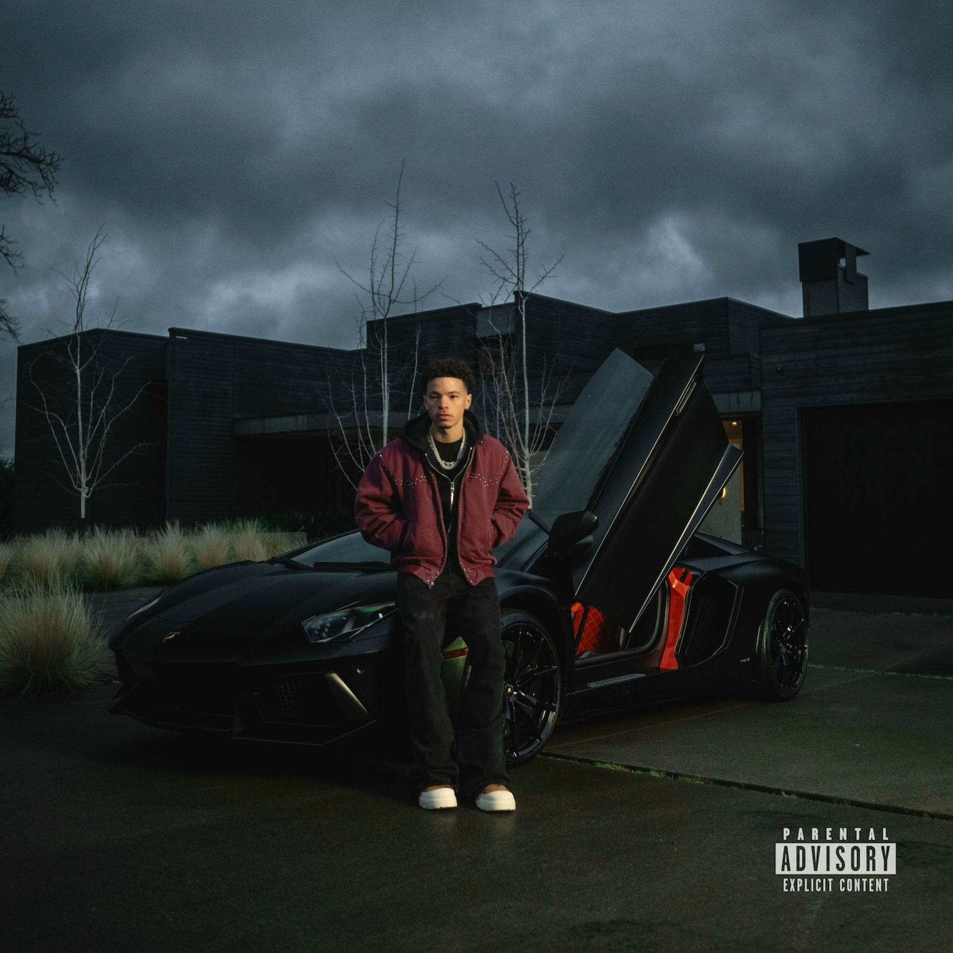 Album cover of Anybody