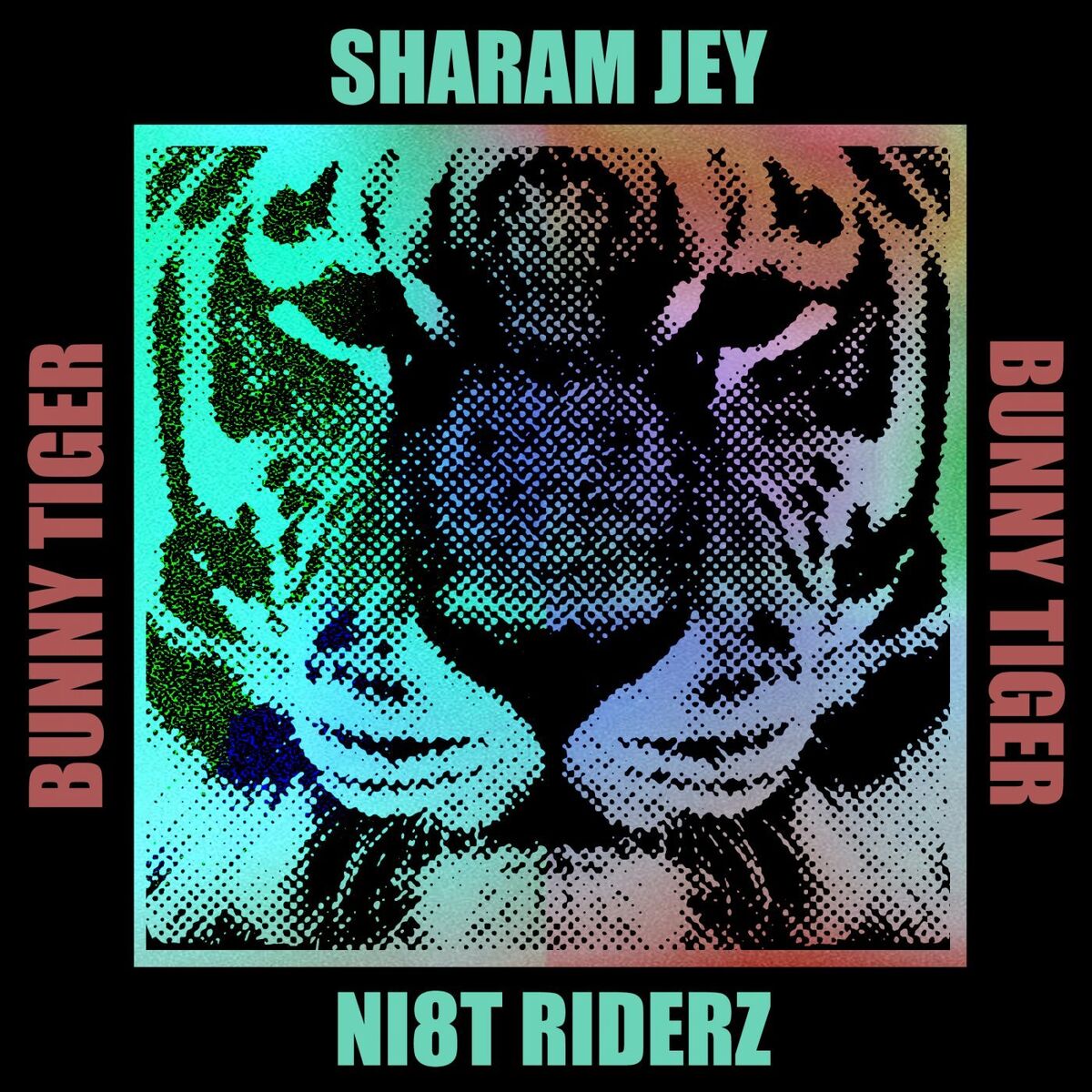 Album cover of Ni8t Riderz