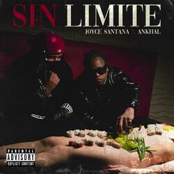 Cover of Sin Limite