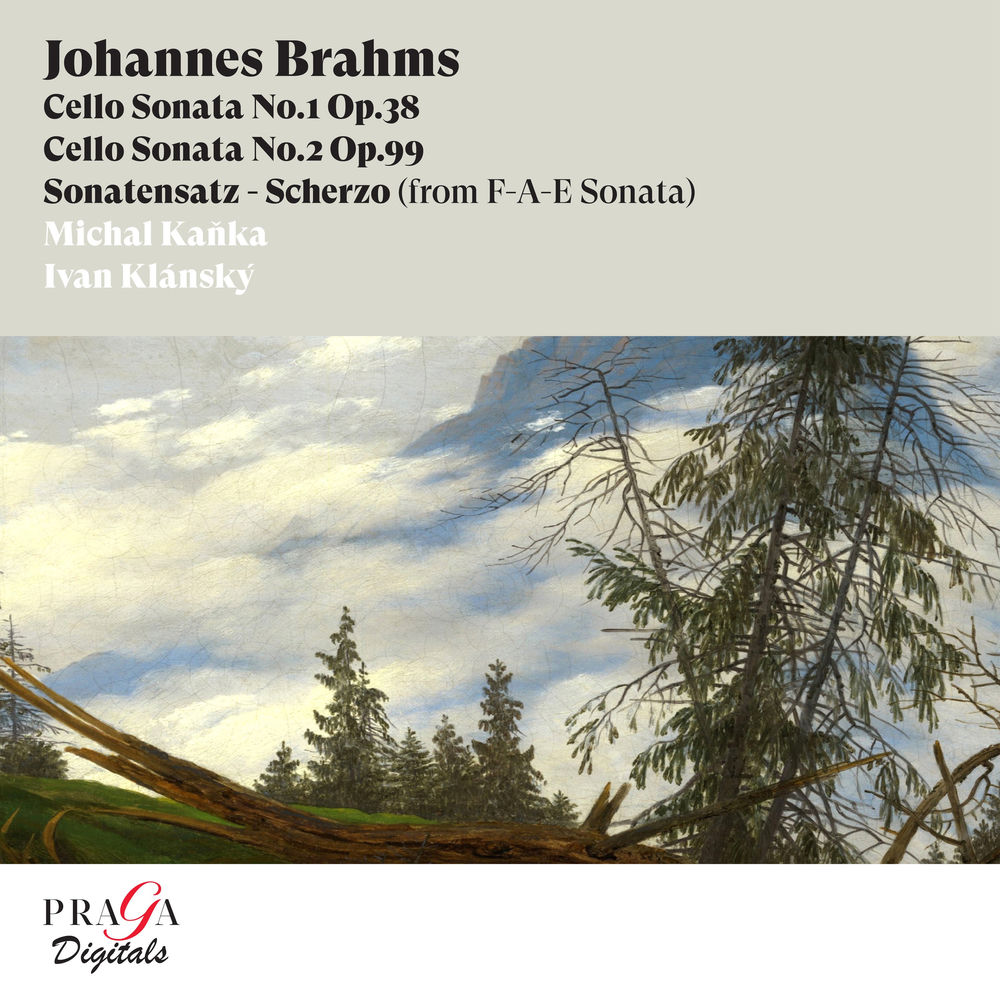 Cello Sonata No. 1 in E Minor, Op. 38: I. Allegro non troppo