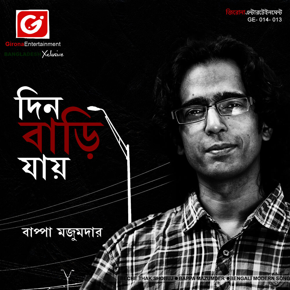 Picture of Din Bari Jay